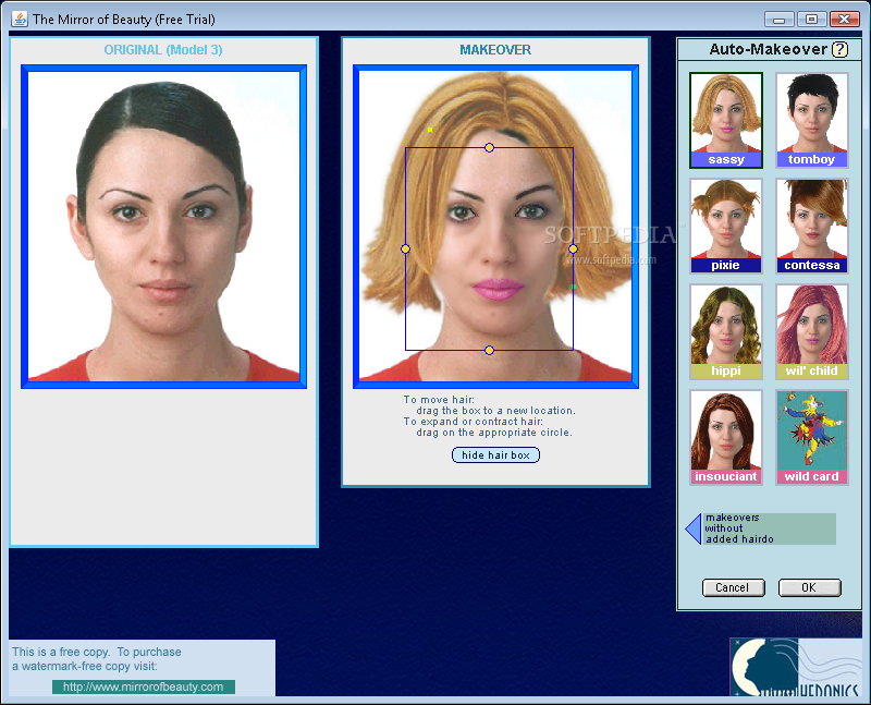 Face Feminization Software